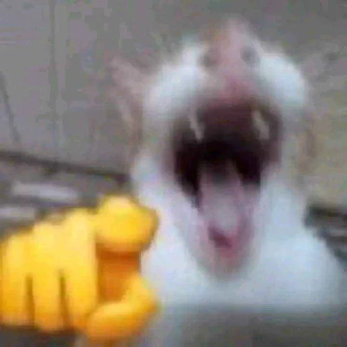 drmn